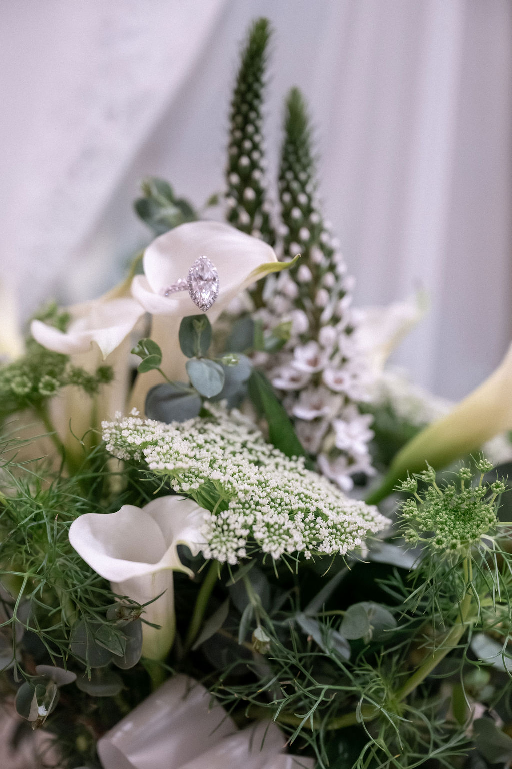 Everlasting Moments Photography